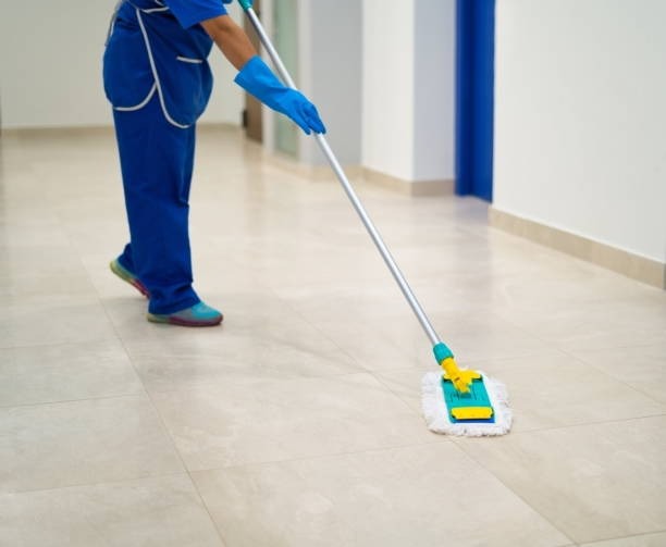 Why Regular Carpet Care Is Vital For Commercial Spaces in Portland